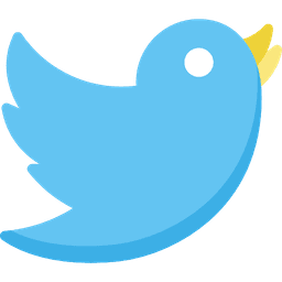 Twitter/X (Elon's Price)